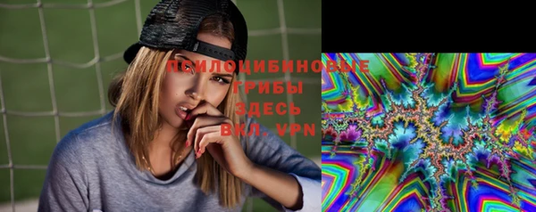 спайс Баксан