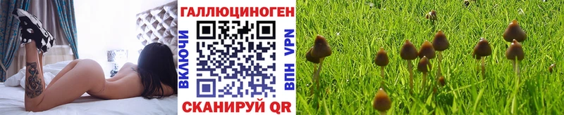 Псилоцибиновые грибы мухоморы  Великий Новгород 